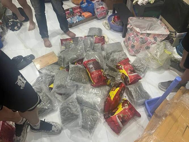 photo_2025-11-23_11-37-48