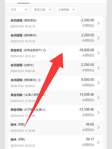 1763808305-photo_2025-11-22_16-44-54-3