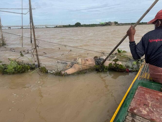 photo_2025-11-23_11-04-46