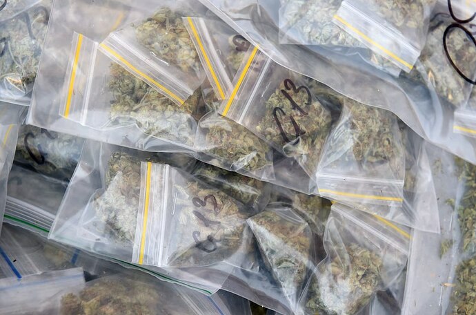 photo_2025-11-27_12-55-54